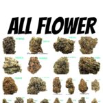 All Flower