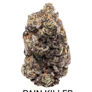PAIN KILLER (AAAA) $8