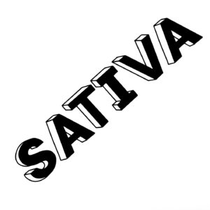 Sativa