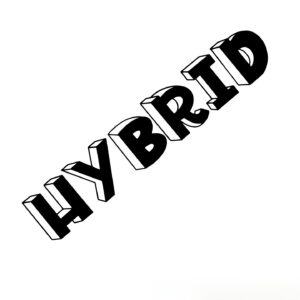 Hybrid