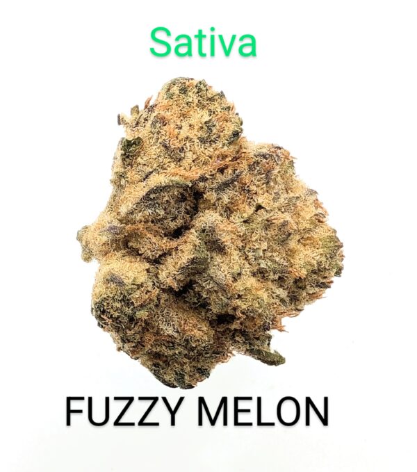 FUZZY MELON