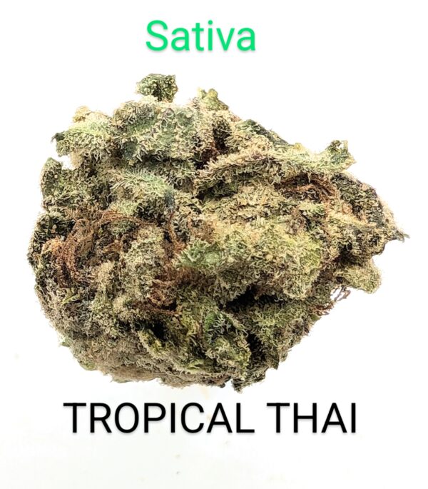 TROPICAL THAI