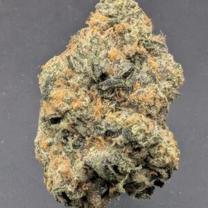 Platinum Disco (indica)