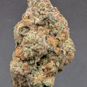 FILTHY HIPPIE (hybrid)