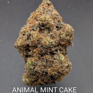 SALE! ANIMAL MINT CAKE (hybrid) $100 OZ