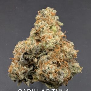 SALE! CADILLAC TUNA AAAA (indica) $120 OZ