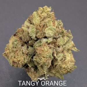 TANGY ORANGE (sativa)