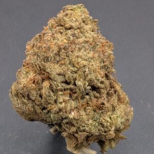 MASTER KUSH (indica)