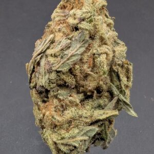 SOUR BERRY (indica)