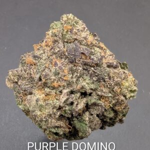 PURPLE DOMINO (indica)