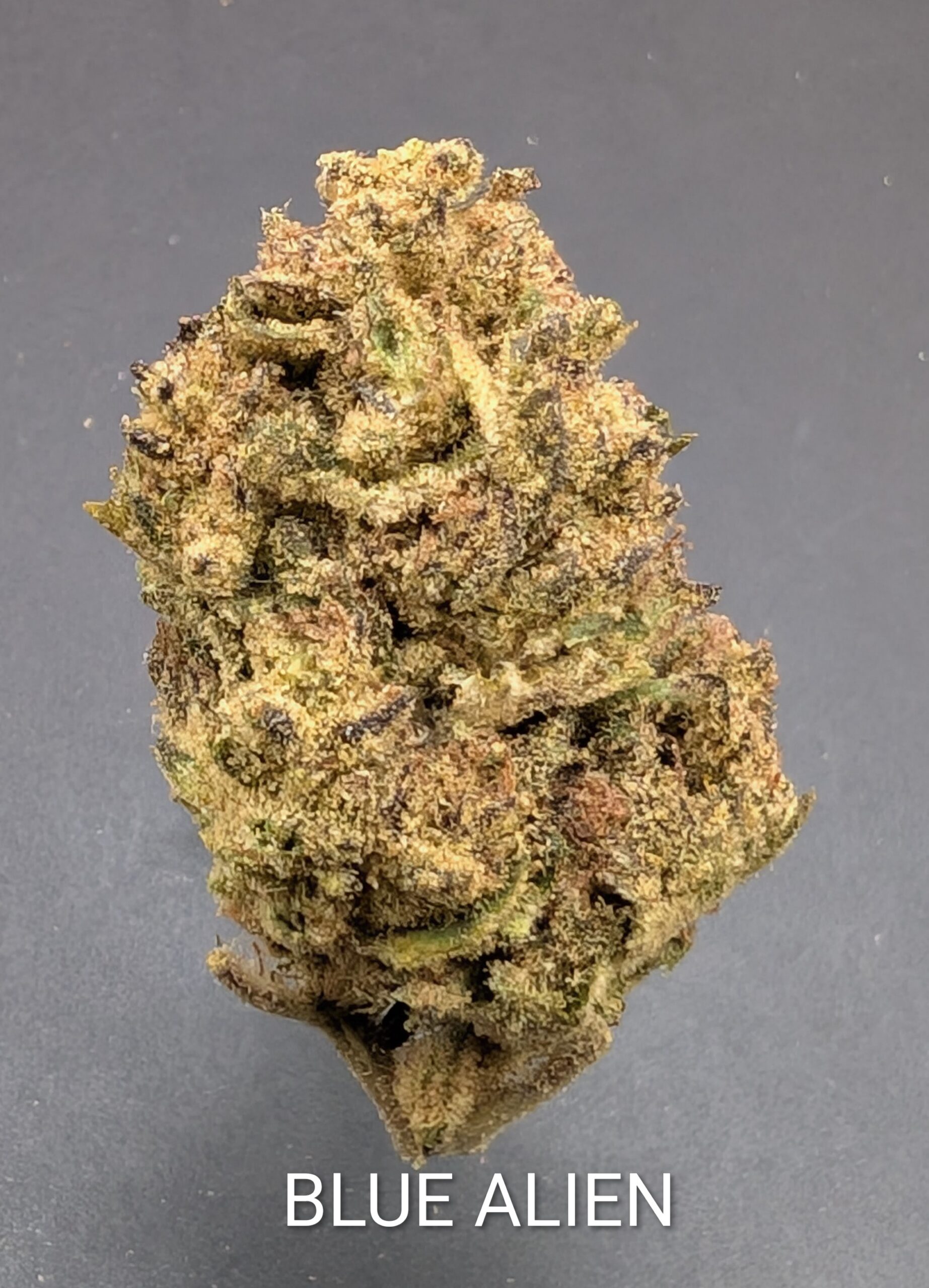 BUY 2 OZ FOR $100! - Image 7