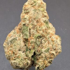 MANGO 43 (sativa)