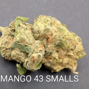 MANGO 43 SMALLS  (sativa)