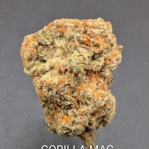 GORILLA MAC (hybrid)