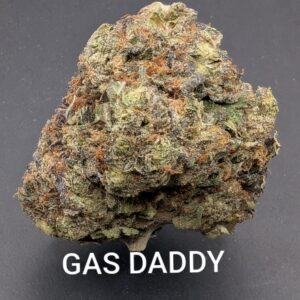 GAS DADDY (indica)