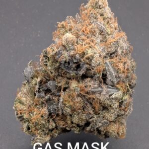 GAS MASK (indica)