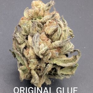 ORIGINAL GLUE (indica)