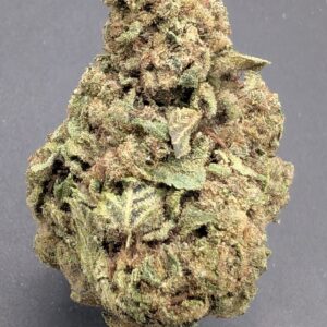 AREA 51 (indica)